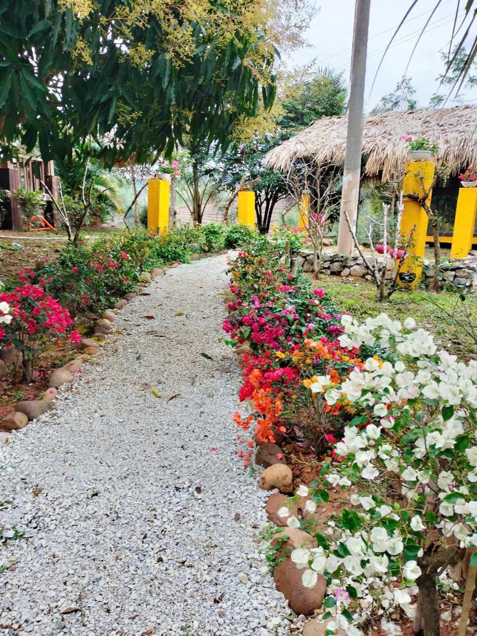 Mai Chau Onsen Retreat Otel Dış mekan fotoğraf